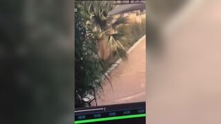 Woman desperate poop cctv, ScatKings.com Scat Porn 6 ScatKings.com Scat Porn