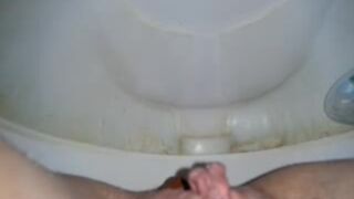 amateur 2 poop 4, ScatKings.com Scat Porn 10 ScatKings.com Scat Porn
