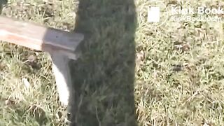 les eoliennes, ScatKings.com Scat Porn 3 ScatKings.com Scat Porn